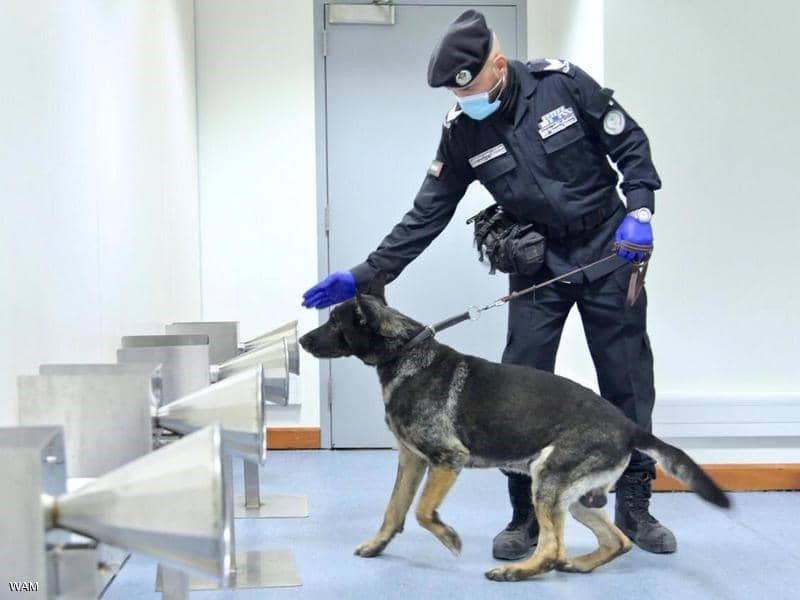think10x Innovative Project Detail Training dogs to detect people infected “Covid-19”